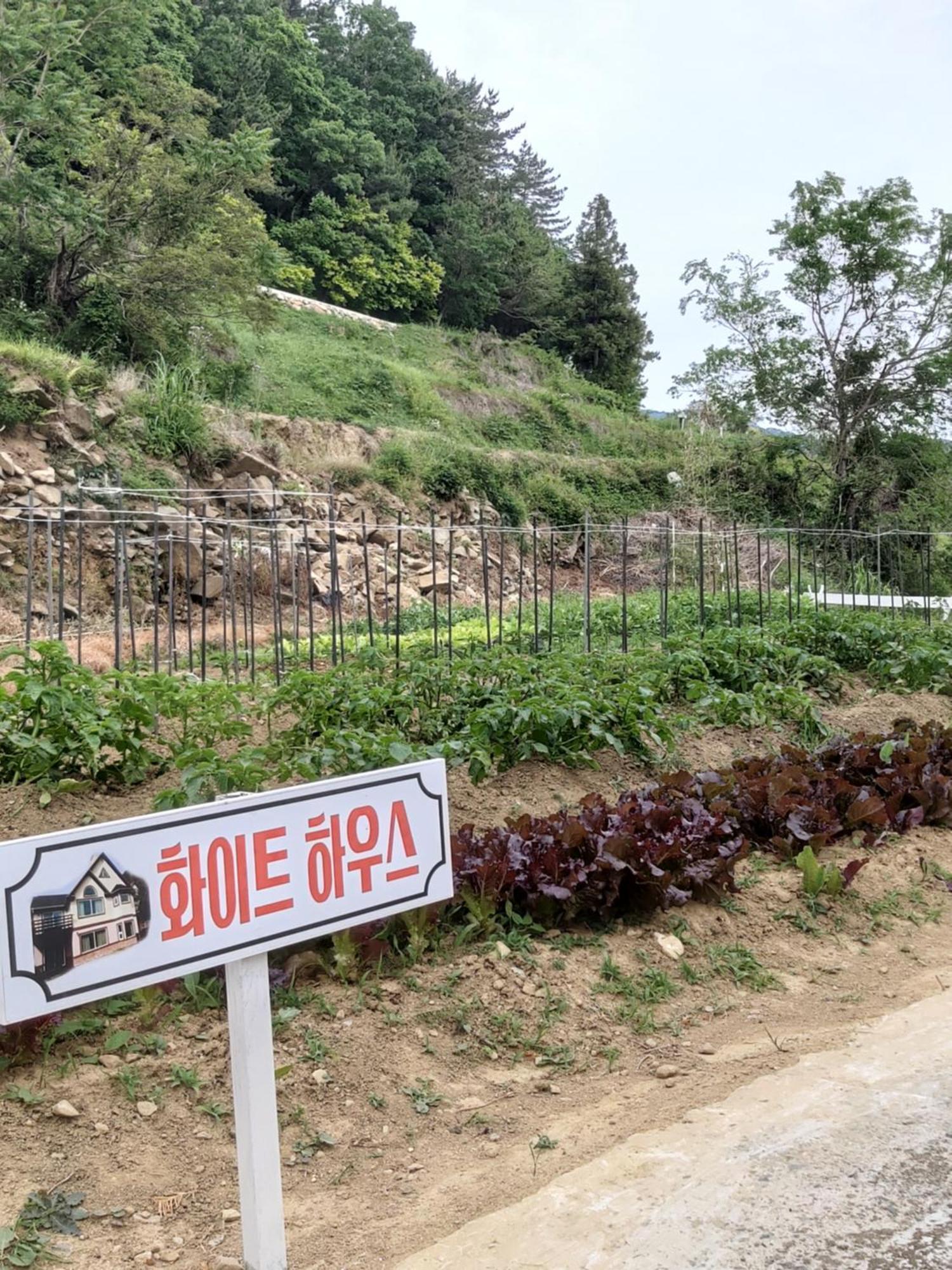 White House Namhae Exterior foto