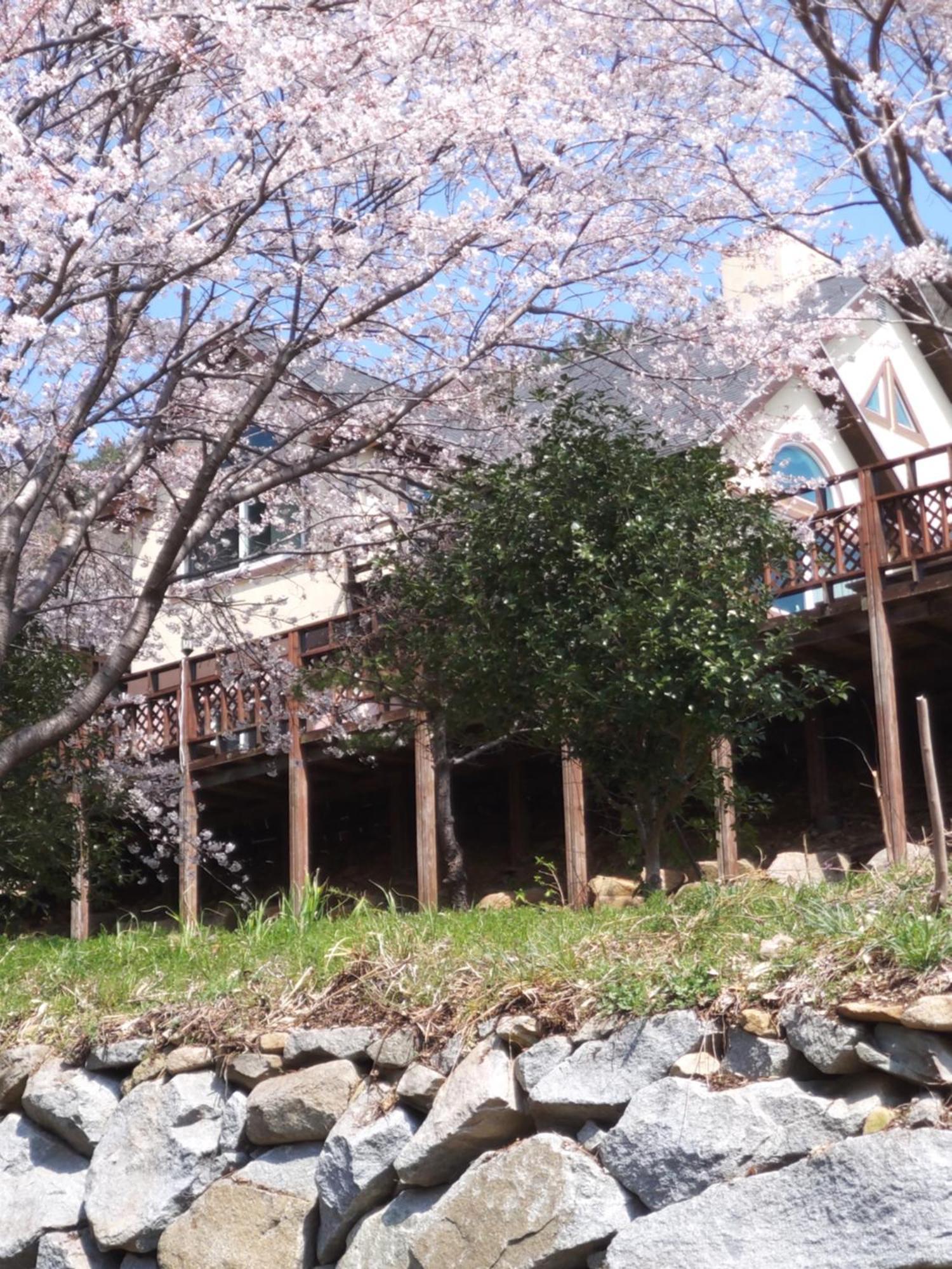 White House Namhae Exterior foto